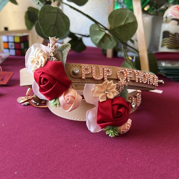 Pup of Honor Dog Collar & Leash Set - Picture 2 of 3